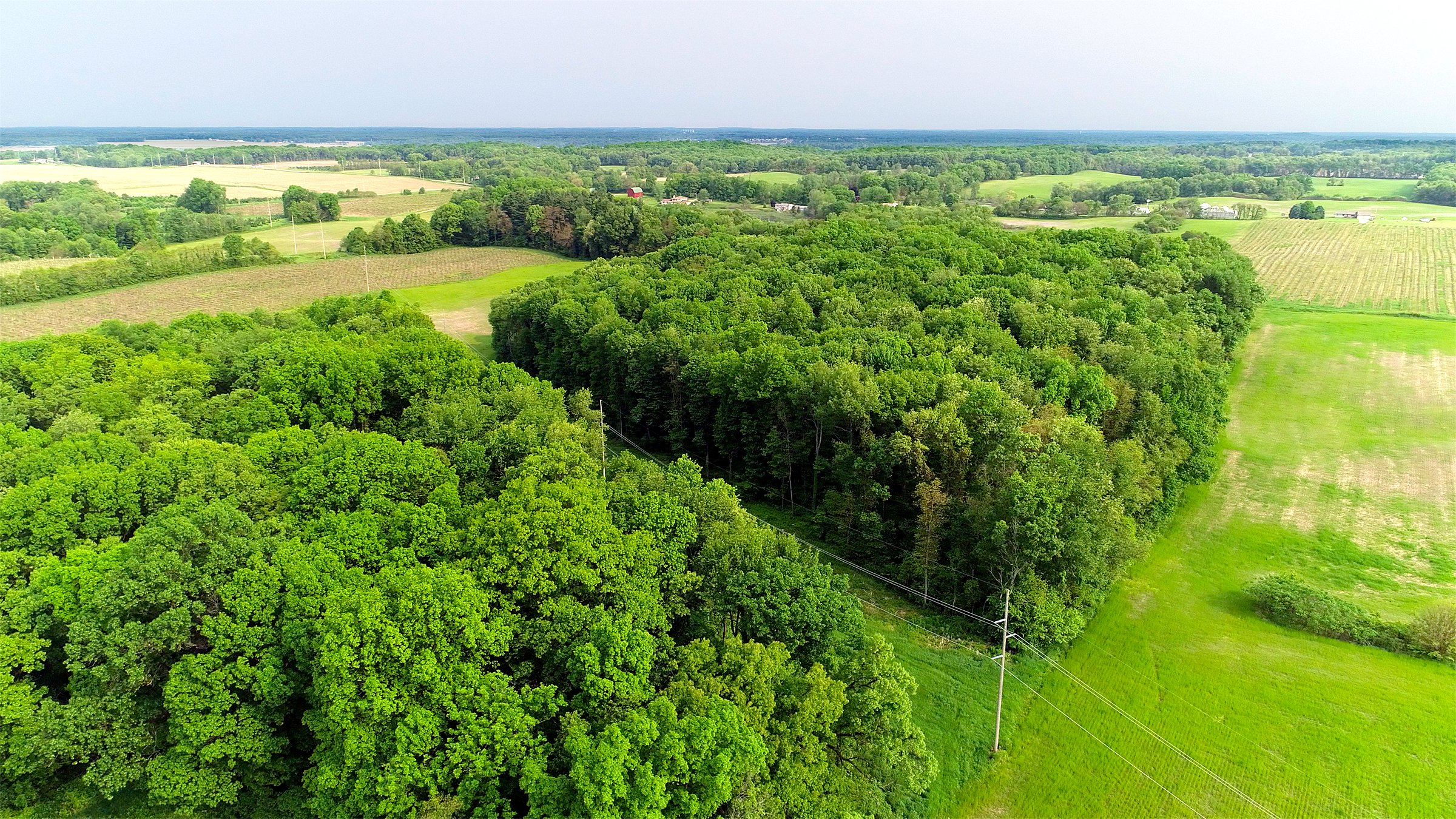Van Buren County, Michigan farmland - LAND AUCTION - 194+/- ACRES OFFERED IN 5 TRACTS IN VAN BUREN COUNTY, MICHIGAN
